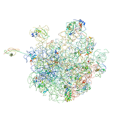 AU of 1vs9 by Molmil