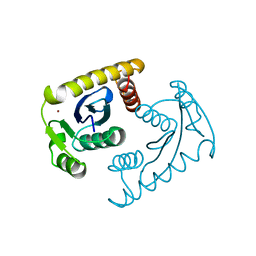 BU of 1vsl by Molmil