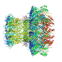 AU of 1vt0 by Molmil