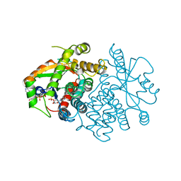 BU of 1vtk by Molmil