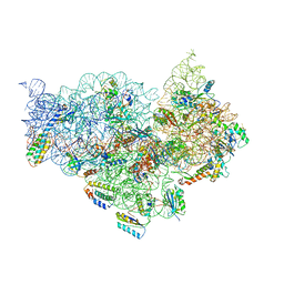 AU of 1vvt by Molmil