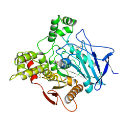 BU of 1vxo by Molmil