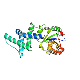 AU of 1wdh by Molmil