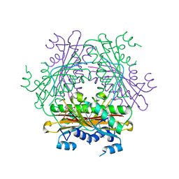 BU of 1wmq by Molmil