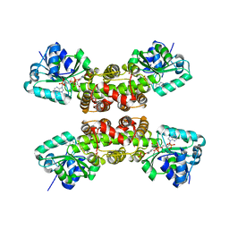 BU of 1wp4 by Molmil