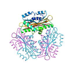 BU of 1wps by Molmil