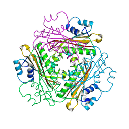 BU of 1wpv by Molmil