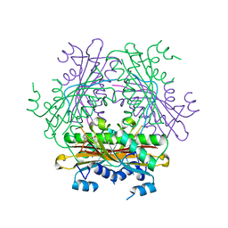 BU of 1wrq by Molmil