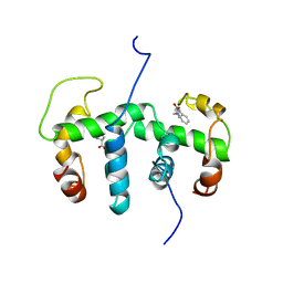 BU of 1wrs by Molmil