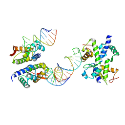 BU of 1wsu by Molmil