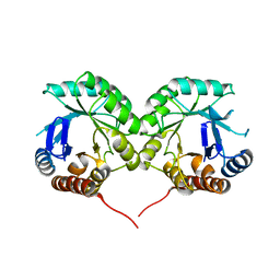 BU of 1wv2 by Molmil