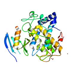 AU of 1wx3 by Molmil