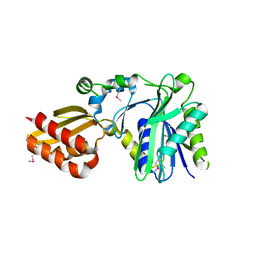 BU of 1x2g by Molmil