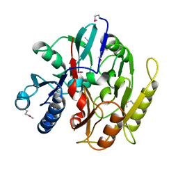 AU of 1x72 by Molmil