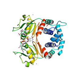 BU of 1xcb by Molmil