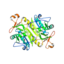 BU of 1xcc by Molmil