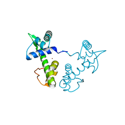 BU of 1xcv by Molmil