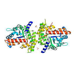 BU of 1xdm by Molmil