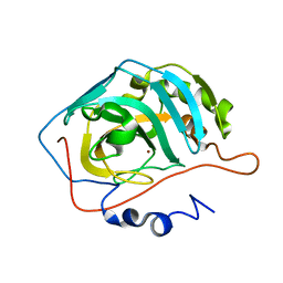 BU of 1xev by Molmil