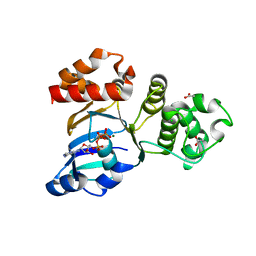 BU of 1xfa by Molmil