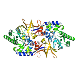 BU of 1xfc by Molmil