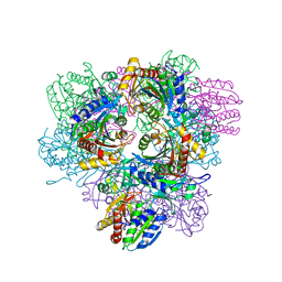 BU of 1xfo by Molmil