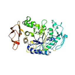 BU of 1xh1 by Molmil