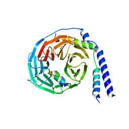 BU of 1xhm by Molmil