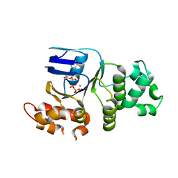 BU of 1xmj by Molmil