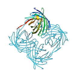 BU of 1xqm by Molmil