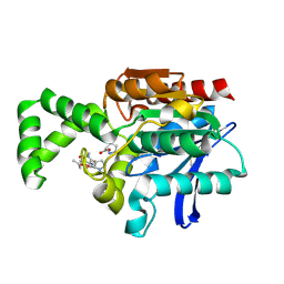 BU of 1xrp by Molmil