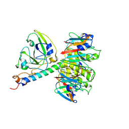 BU of 1xtc by Molmil