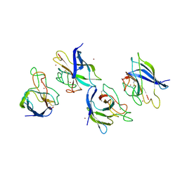 BU of 1xtl by Molmil