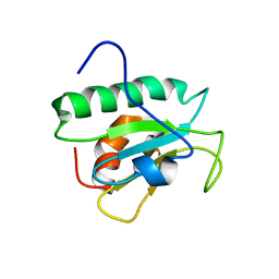 AU of 1xtx by Molmil