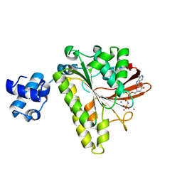 BU of 1xu4 by Molmil