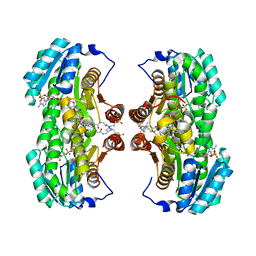 BU of 1xu9 by Molmil