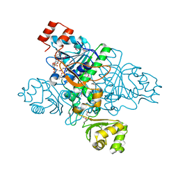 BU of 1xvt by Molmil