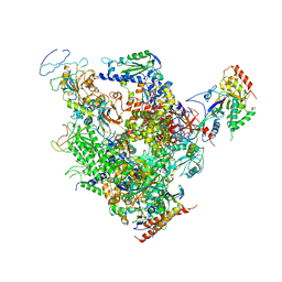 BU of 1y1v by Molmil