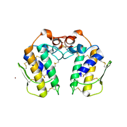 BU of 1y75 by Molmil