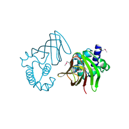 BU of 1y9q by Molmil