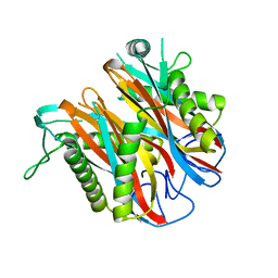 AU of 1ybb by Molmil