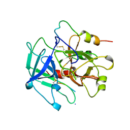 BU of 1ycp by Molmil