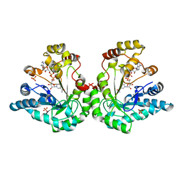 BU of 1ye4 by Molmil