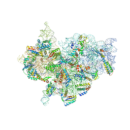 AU of 1yl4 by Molmil