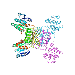 BU of 1yl6 by Molmil