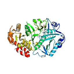 BU of 1ylh by Molmil