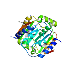 BU of 1ylk by Molmil