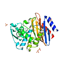 BU of 1ylp by Molmil