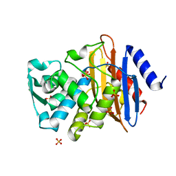 BU of 1ylt by Molmil