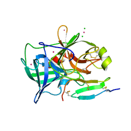 AU of 1yr4 by Molmil